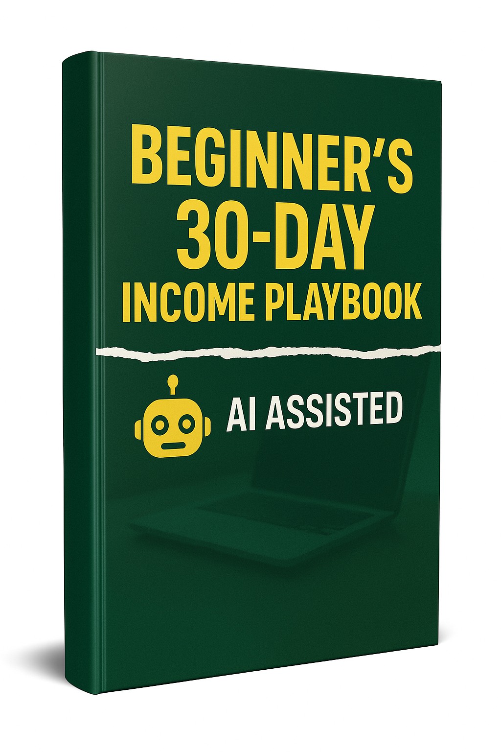 Beginners 30-day income playbook